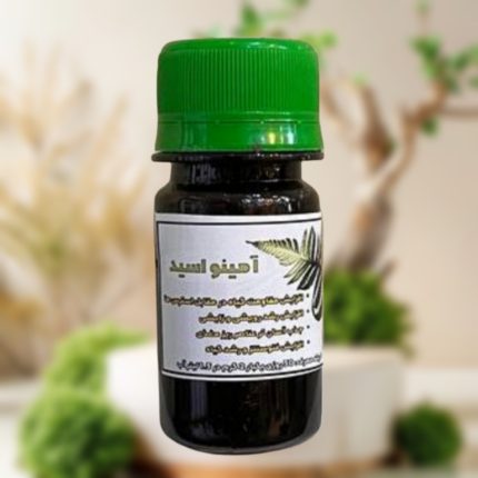 آمینو اسید